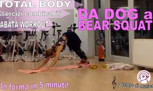 fovana DOG BEAR SQUAT