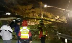 frana bognanco nov 19