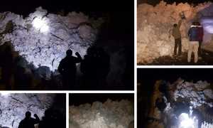 frana formazza gen 18 mix