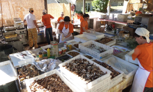 funghi cucina sagra trontano fungo