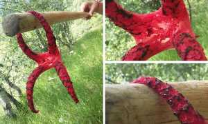 fungo noezelandese rosso mix