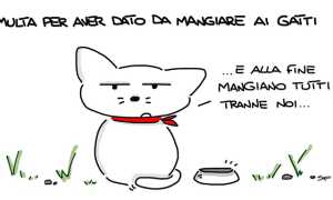 gatti