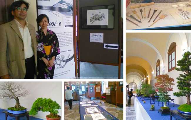 giappone rosmini mix