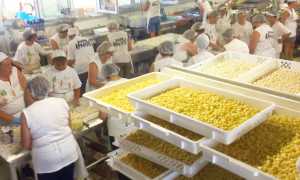 gnocchi patata sagra 17