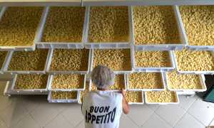 gnocchi sagra patata 19