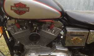 harley