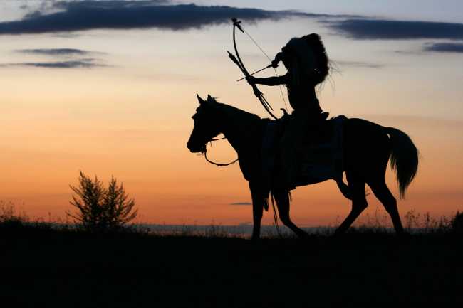 horse 557261 1280 copia