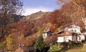 img 4060 26 222 0 0 d3505a58c11c2b6723fe734c4a72f2a5