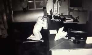 ladro mazza piscine videosorveglianza