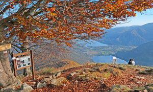 laghi lago vista mergozzo