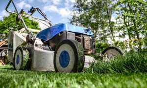 lawn mower 384589 640