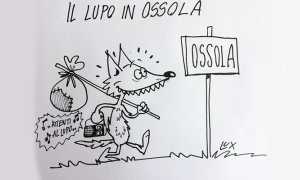 lupo vignetta lux