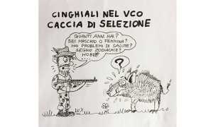 lux cinghiali caccia nov 18