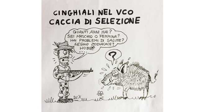 lux cinghiali caccia nov 18