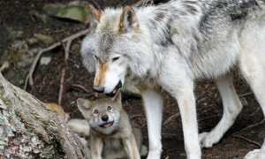 m l ghtTSfjSBoE unsplash copia