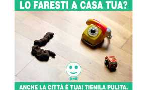 manifesto deiezioni cani domo 17