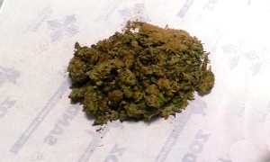 mariuana foglio vigili domo