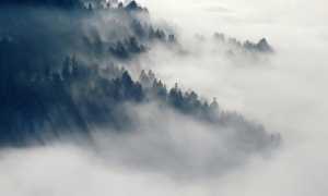 meteo brume