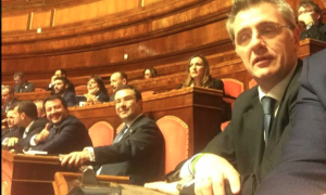 montani senato salvini