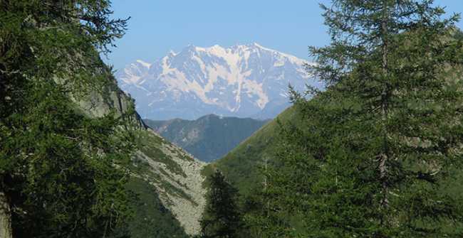 monte sentiero parco