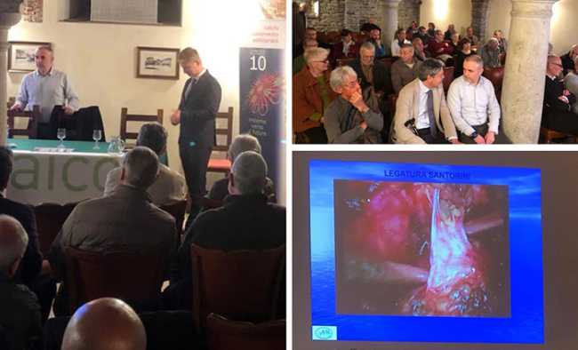 mosaico serata domo apr 19 mix