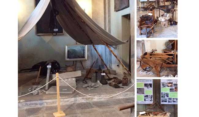 mostre sagra fungo trontano 17