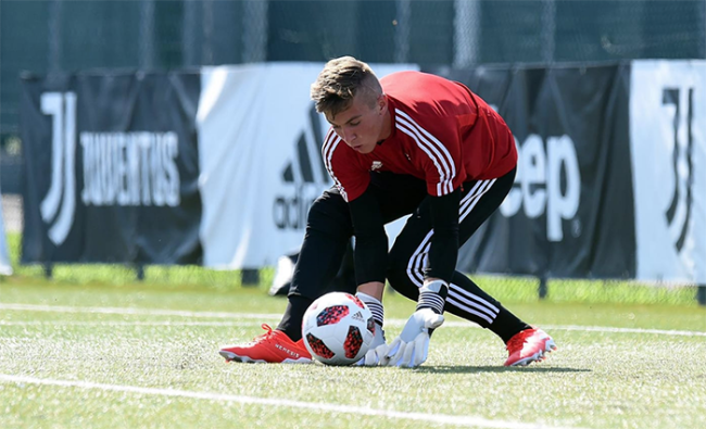 nicolas oliveto parata