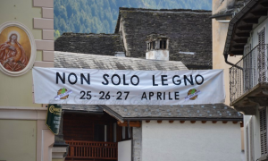non solo legno striscione vanzone
