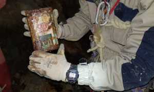 olio calvi latta 1920x933