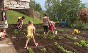 orto didattico montecrestese 17