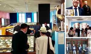 palazzo francesco presentazione giugno 21 mix