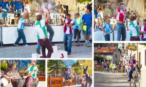 palio asini premosello 16