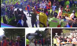 palio asini varzo 19 mix