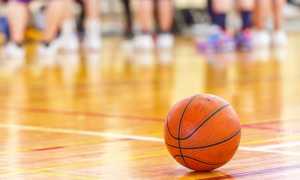palla basket