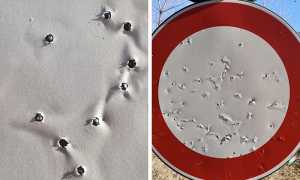 pallettoni cartello mix 20