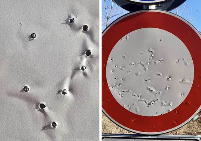 pallettoni cartello mix 20