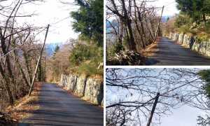 palo montecrestese filo mix doc 18