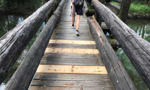 paseserella aggiustata crevola