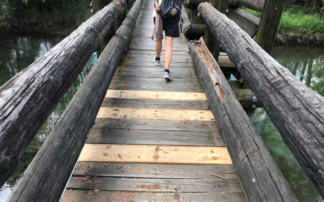 paseserella aggiustata crevola