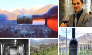 patrone mix vini 18