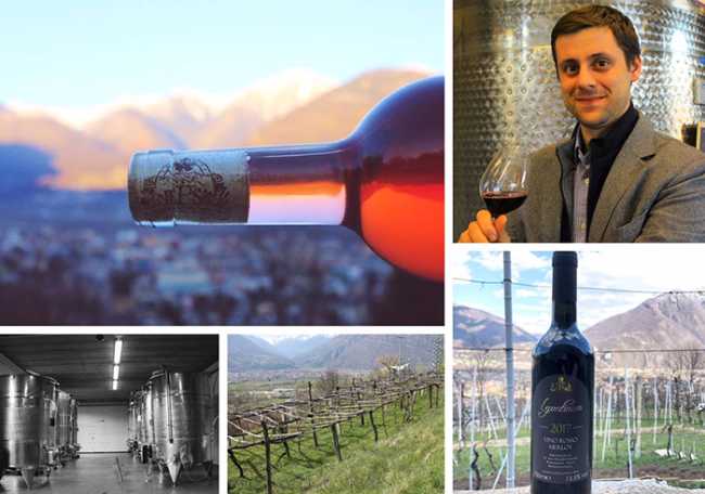 patrone mix vini 18