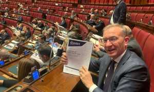 pellicini andrea fdi