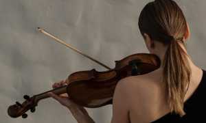 pexels cottonbro studio 7095826