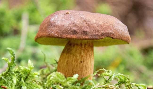 pexels merwak 399619273 20979847