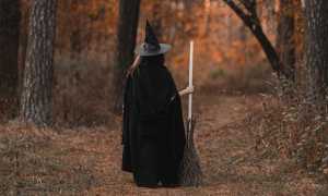 pexels monstera production 5634862