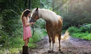 pexels photo 1090408