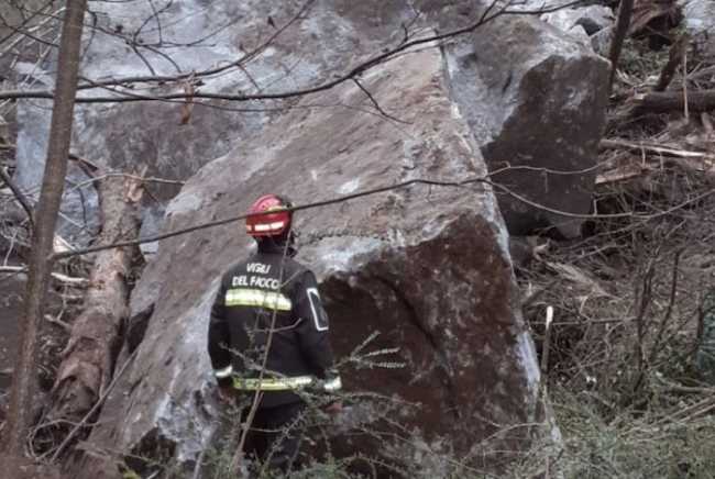 photo1709897246 copia