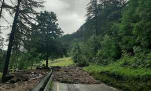 photo6012851462058653689