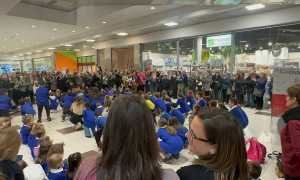 photo 2024 11 12 09 45 31