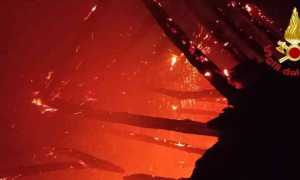 photo 2025 01 02 11 32 53